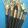 儀表用控制電纜、數(shù)字巡回檢測裝置用屏蔽電纜